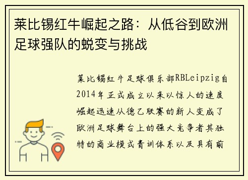 莱比锡红牛崛起之路：从低谷到欧洲足球强队的蜕变与挑战